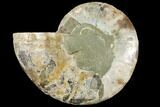 Bargain, Agatized Ammonite Fossil (Half) - Crystal Chambers #111520-1